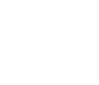 Raamsticker -60% in bol