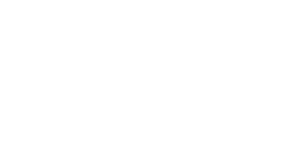 Autosticker Speedo