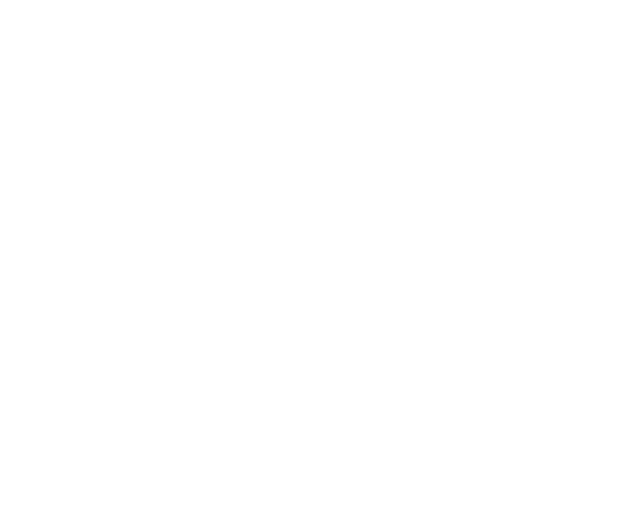 Autosticker Ooievaar Veilig geland