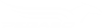 Autosticker Pegaso logo rechts