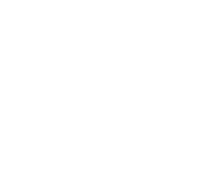 Autosticker DC Shoes logo