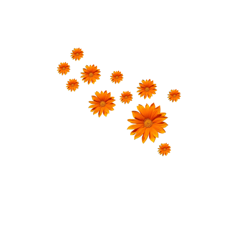Autosticker set met 27 oranje bloemen