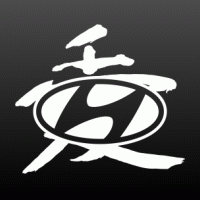 Hyundai + chinees