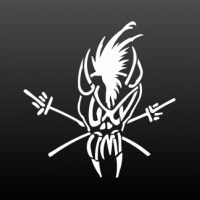 Hetfield skull