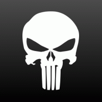 The Punisher skull