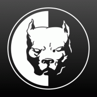 Pitbull