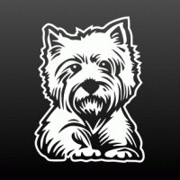 West highland white terrier