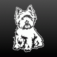 West highland terrier