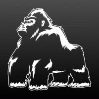 Gorilla zilverrug