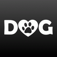 Dog pootje in hartje