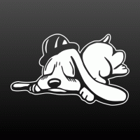 Slaapend hondje met hoed