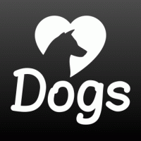 Love dogs met kop
