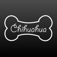Chihuahua in beentje