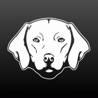 Rodesian ridgeback kop