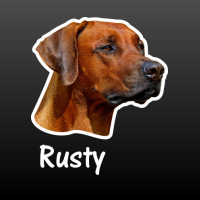 hond Rhodesian ridgeback met naam