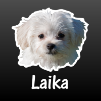 Vlag sticker - autostickers - autosticker voor auto - bumpersticker - Tsjechië