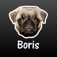 hond Petit Brabancon met naam