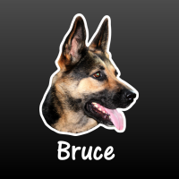 hond Duitse Herder met naam