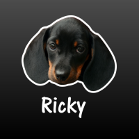 hond Teckel met naam
