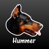 hond Doberman met naam