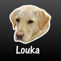 hond gele Labrador retriever met naam