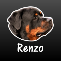 hond Rottweiler met naam