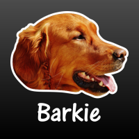 hond Ierse setter met naam