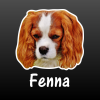 hond Cavalier King Charles Spaniel met naam