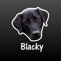 hond zwarte Labrador retriever met naam