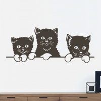 3 katjes op een rij