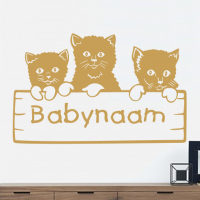 3 katjes met babynaam