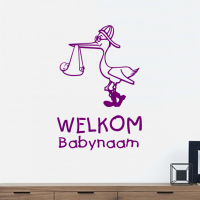 Ooievaar Welkom en babynaam