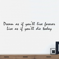 Dream as if you'll live...