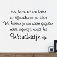 Wondertje