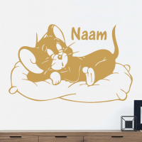 Jerry op kussen + naam