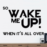 Wake me up when it's all over