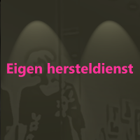 Eigen hersteldienst