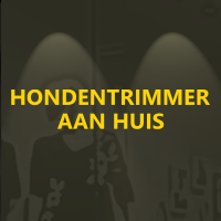 Hondentrimmer aan huis