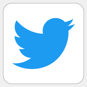 Twitter logo full-color